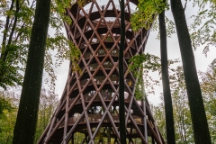 IBH07266