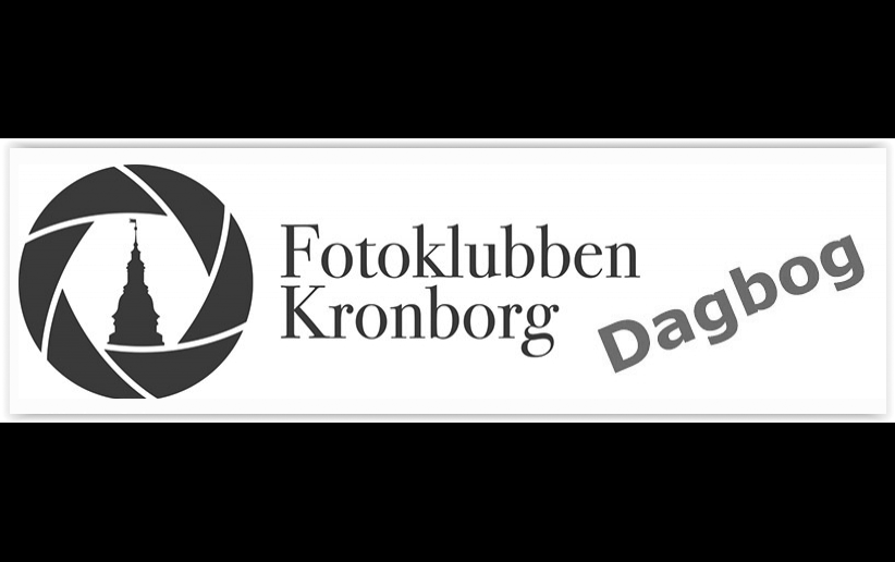 Dagbog indtil 2018-12-31 – Foredrag