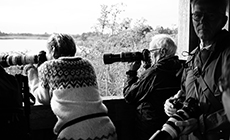 Fototur Strødam Engsø