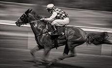 Galop